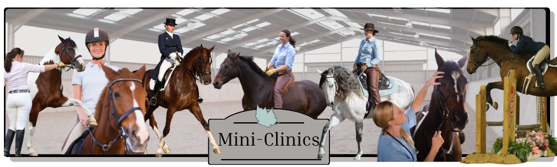 Weekly Mini-Clinics